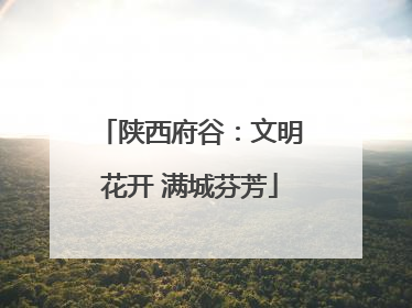 陕西府谷：文明花开 满城芬芳