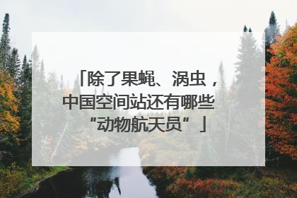 除了果蝇、涡虫，中国空间站还有哪些“动物航天员”