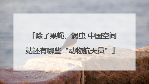 除了果蝇、涡虫 中国空间站还有哪些“动物航天员”