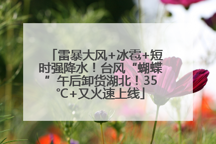 雷暴大风+冰雹+短时强降水！台风“蝴蝶”午后卸货湖北！35℃+又火速上线