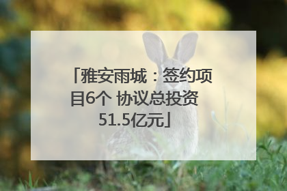 雅安雨城：签约项目6个 协议总投资51.5亿元