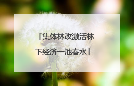 集体林改激活林下经济一池春水