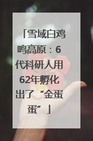 雪域白鸡鸣高原：6代科研人用62年孵化出了“金蛋蛋”