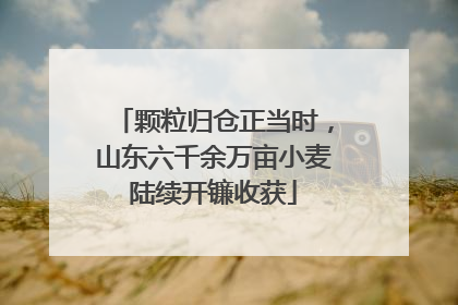 颗粒归仓正当时，山东六千余万亩小麦陆续开镰收获
