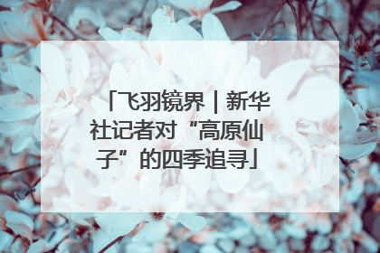 飞羽镜界｜新华社记者对“高原仙子”的四季追寻