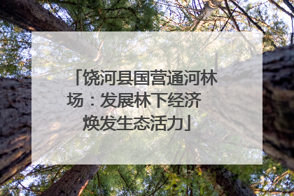 饶河县国营通河林场：发展林下经济 焕发生态活力