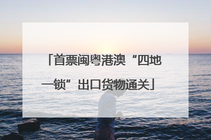 首票闽粤港澳“四地一锁”出口货物通关
