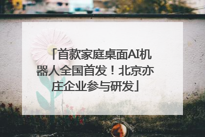 首款家庭桌面AI机器人全国首发！北京亦庄企业参与研发