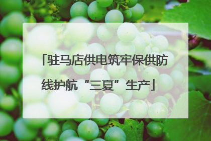驻马店供电筑牢保供防线护航“三夏”生产