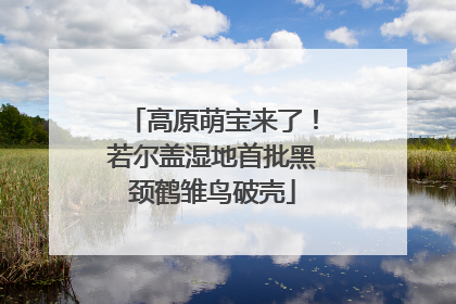 高原萌宝来了！若尔盖湿地首批黑颈鹤雏鸟破壳