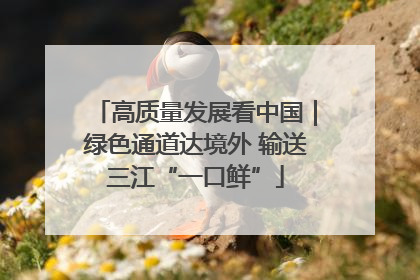 高质量发展看中国｜绿色通道达境外 输送三江“一口鲜”