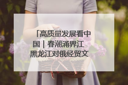 高质量发展看中国｜春潮涌界江 黑龙江对俄经贸文旅交流绿意盎然