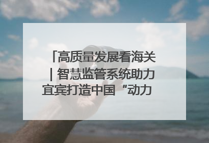 高质量发展看海关｜智慧监管系统助力宜宾打造中国“动力电池之都”