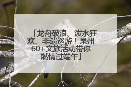 龙舟破浪、泼水狂欢、非遗巡游！泉州60+文旅活动带你燃情过端午