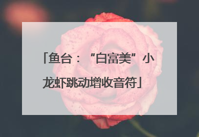鱼台：“白富美”小龙虾跳动增收音符