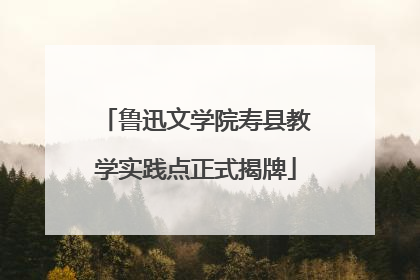 鲁迅文学院寿县教学实践点正式揭牌