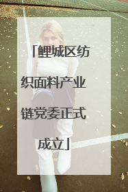 鲤城区纺织面料产业链党委正式成立