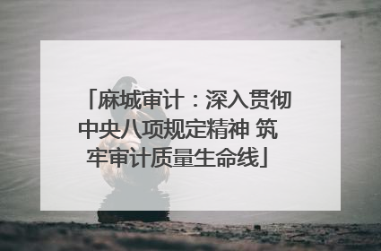 麻城审计：深入贯彻中央八项规定精神 筑牢审计质量生命线