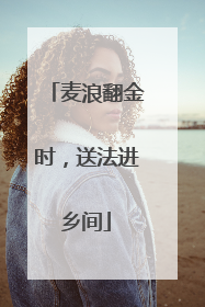 麦浪翻金时，送法进乡间