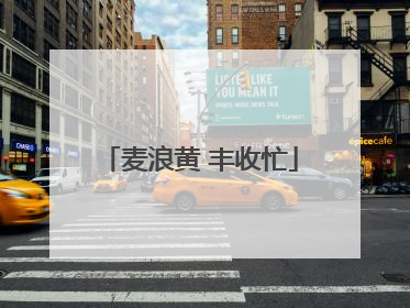麦浪黄 丰收忙