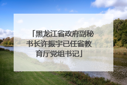 黑龙江省政府副秘书长许振宇已任省教育厅党组书记
