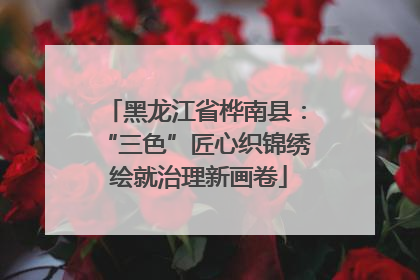 黑龙江省桦南县：“三色”匠心织锦绣 绘就治理新画卷