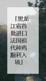 黑龙江省首批进口法国祖代种鸡顺利入境