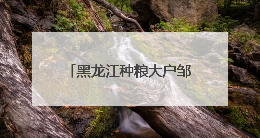 黑龙江种粮大户邹德海：保护“耕地中的大熊猫”黑土地，让增产可持续