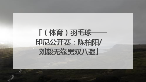 （体育）羽毛球——印尼公开赛：陈柏阳/刘毅无缘男双八强