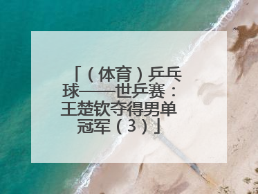 （体育）乒乓球——世乒赛：王楚钦夺得男单冠军（3）