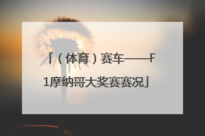 （体育）赛车——F1摩纳哥大奖赛赛况