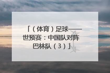 （体育）足球——世预赛：中国队对阵巴林队（3）