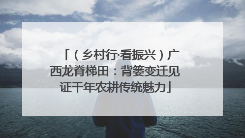 （乡村行·看振兴）广西龙脊梯田：背篓变迁见证千年农耕传统魅力