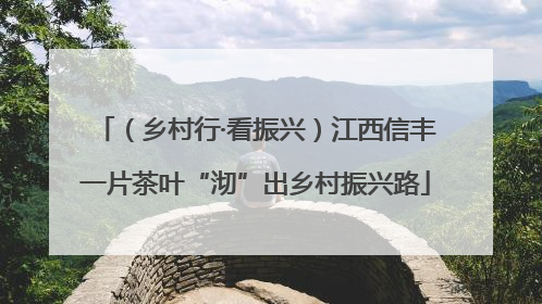（乡村行·看振兴）江西信丰一片茶叶“沏”出乡村振兴路
