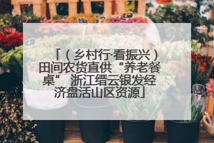 （乡村行·看振兴）田间农货直供“养老餐桌” 浙江缙云银发经济盘活山区资源