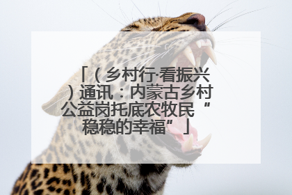 （乡村行·看振兴）通讯：内蒙古乡村公益岗托底农牧民“稳稳的幸福”