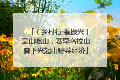 （乡村行·看振兴）靠山吃山，赛罕乌拉山脚下兴起山野菜经济