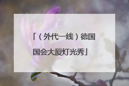 （外代一线）德国国会大厦灯光秀