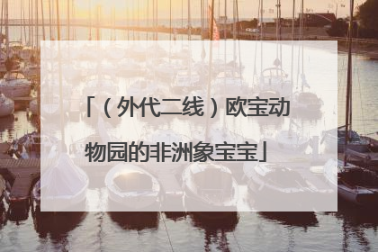 （外代二线）欧宝动物园的非洲象宝宝
