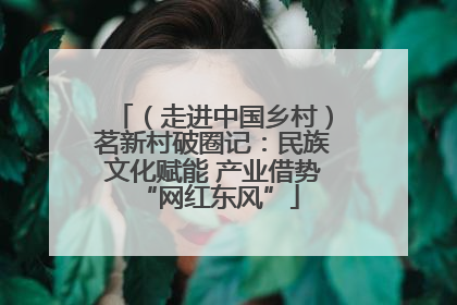 （走进中国乡村）茗新村破圈记：民族文化赋能 产业借势 “网红东风”
