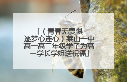 （青春无畏惧   逐梦心连心）莱山一中高一高二年级学子为高三学长学姐送祝福