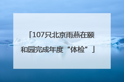 107只北京雨燕在颐和园完成年度“体检”