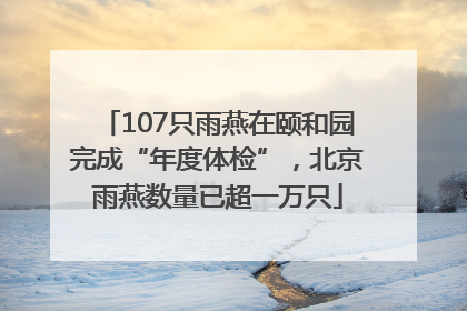 107只雨燕在颐和园完成“年度体检”，北京雨燕数量已超一万只