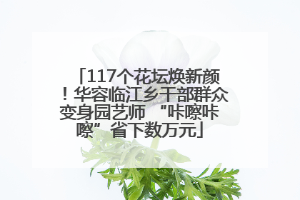 117个花坛焕新颜！华容临江乡干部群众变身园艺师 “咔嚓咔嚓”省下数万元