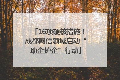 16项硬核措施！成都网信领域启动“助企护企”行动
