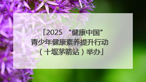 2025 “健康中国” 青少年健康素养提升行动（十堰茅箭站）举办