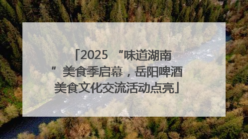 2025 “味道湖南”美食季启幕，岳阳啤酒美食文化交流活动点亮