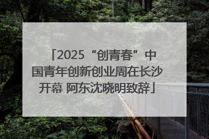 2025“创青春”中国青年创新创业周在长沙开幕 阿东沈晓明致辞