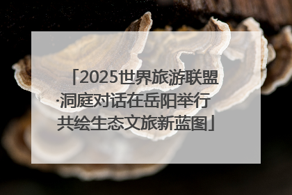 2025世界旅游联盟·洞庭对话在岳阳举行 共绘生态文旅新蓝图