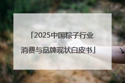 2025中国粽子行业消费与品牌现状白皮书
